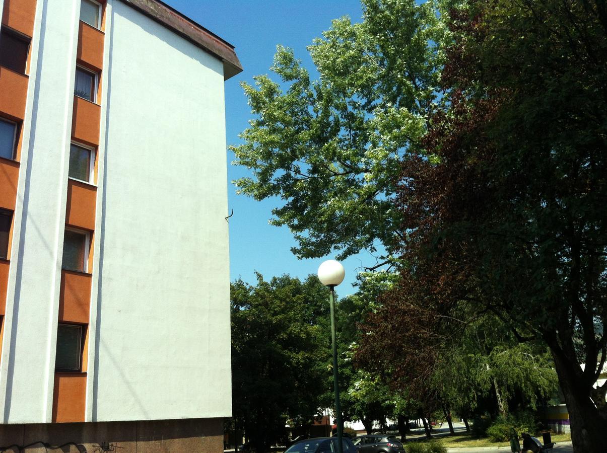 Apartment 10 Вісоко Номер фото